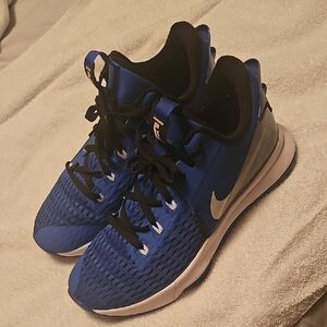 Nike Lebron Witness 5 Mens Size 12